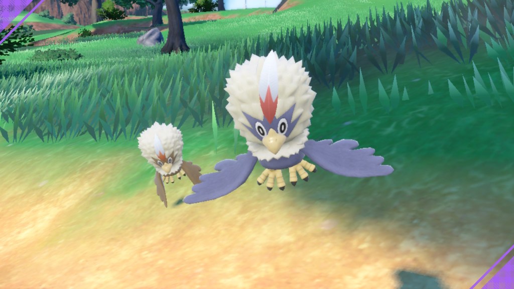 The normal one is flying at me like I have a worm on my face while the shiny one is kicking back to see what happens next.